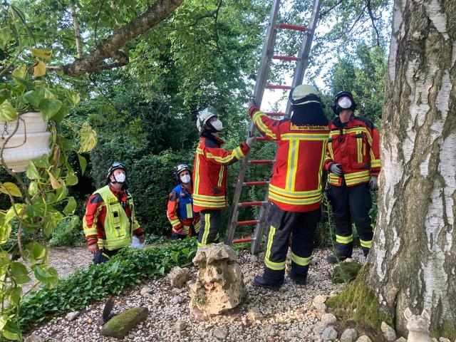 IMG-20210719-WA0008 groß.jpg